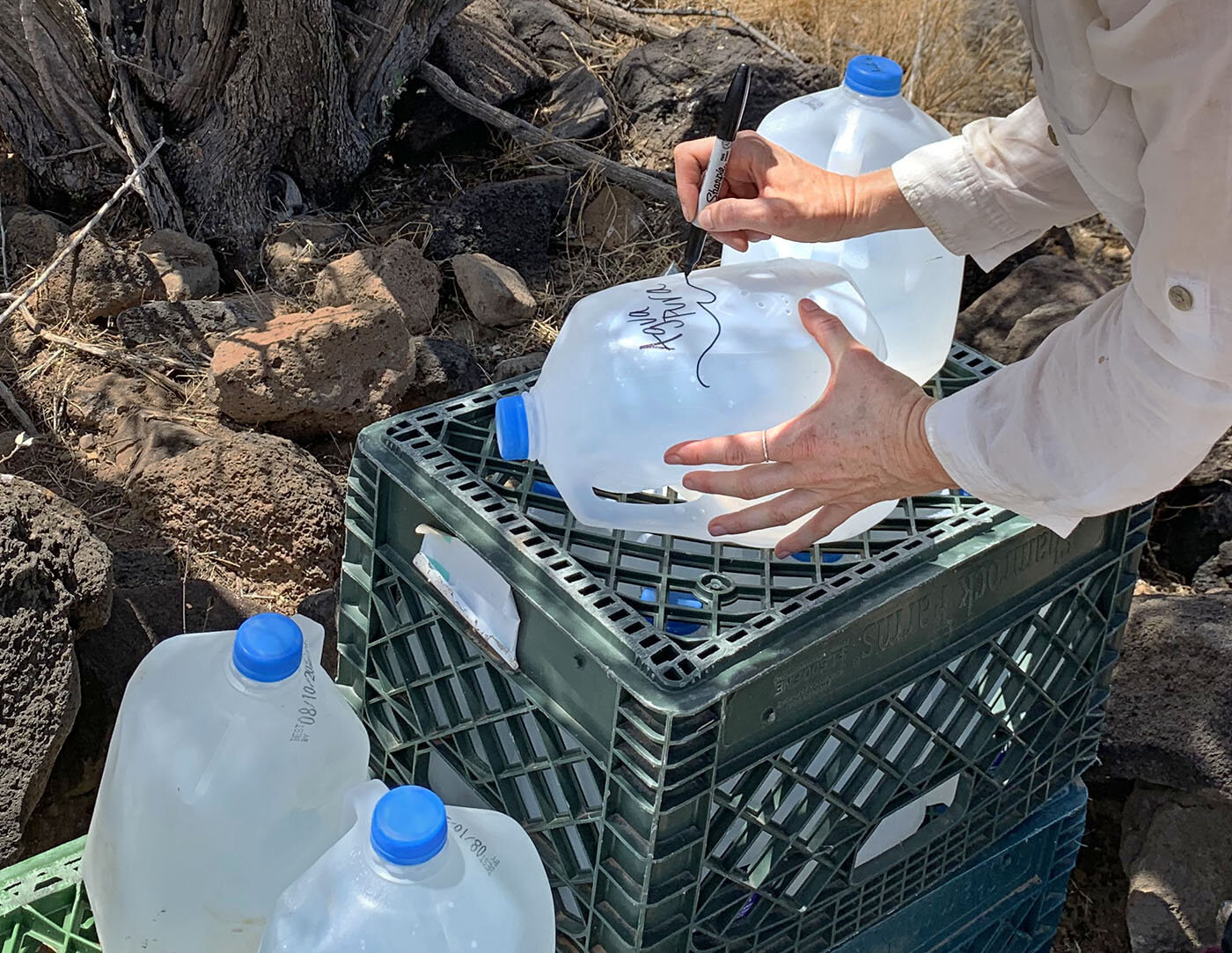 Emily Saunders writes “Pure water” and “God be with you” in Spanish on a water jug. Photo Credit: Jude Joffe-Block