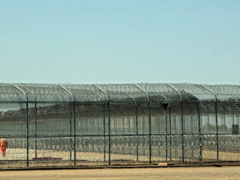 Created in prison: a new way of thinking about evolution and spirituality